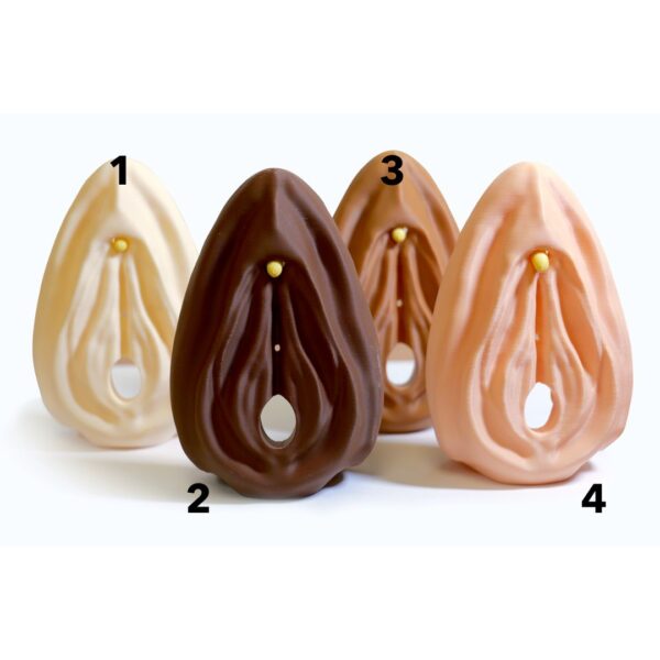 Birth Control Kit with Vulva Model - Image 2