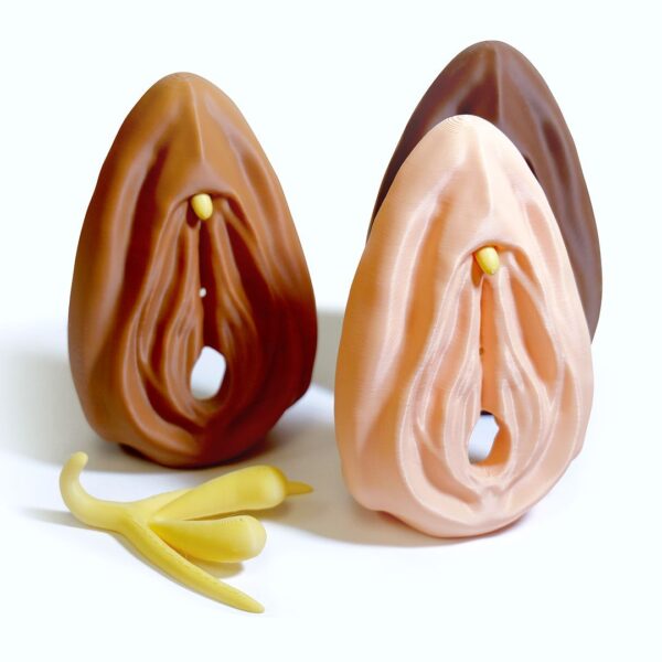 Birth Control Kit with Vulva Model - Image 3