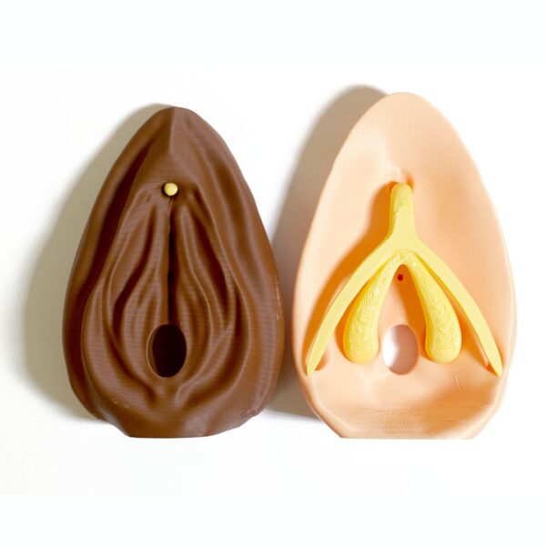Birth Control Kit with Vulva Model - Image 4